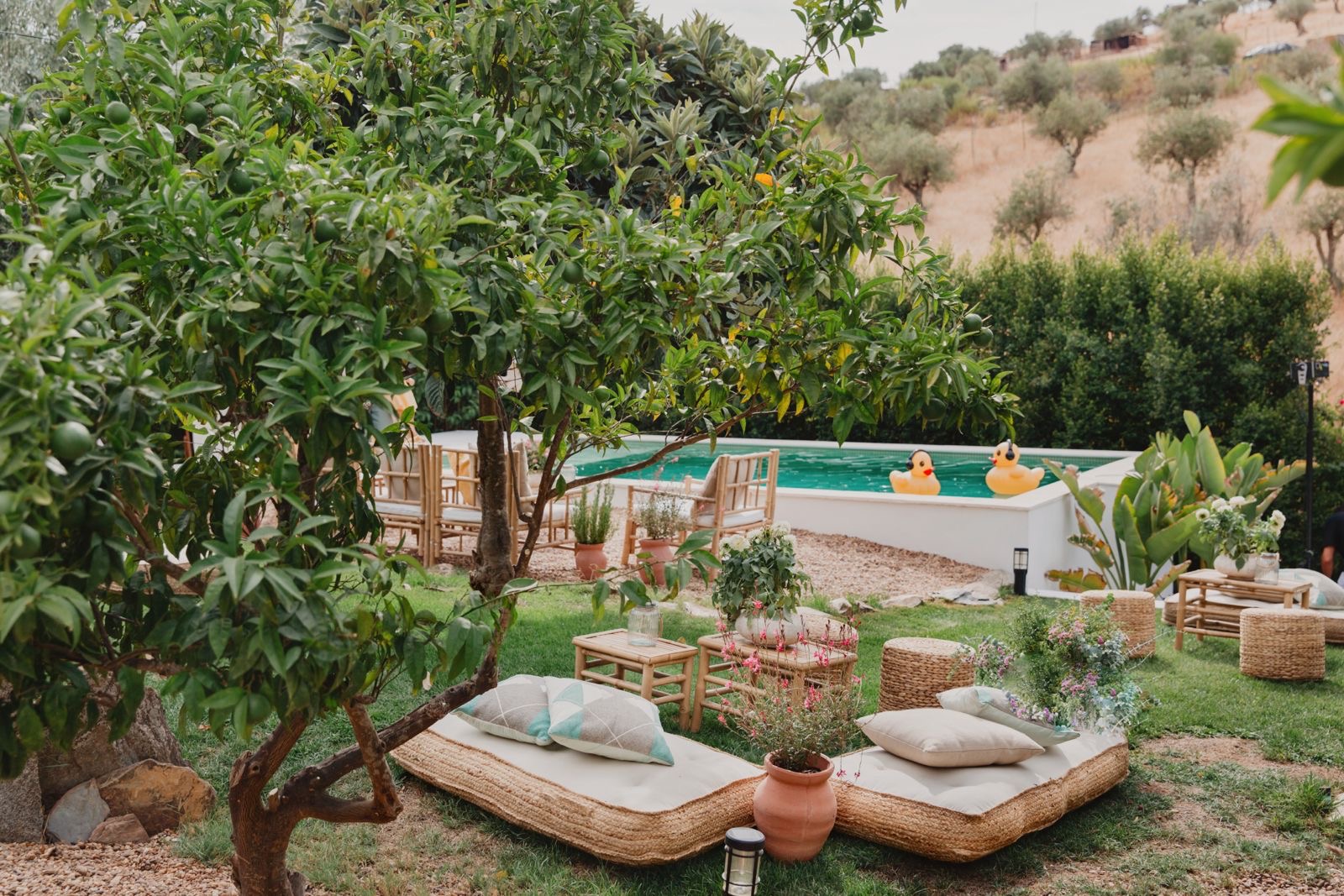 Imagem de galeria Susana Alegria 03